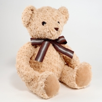 Мягкая игрушка &laquo;Медведь&raquo;, кудрявый, 55 см, цвет бежевый