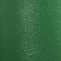 Лента бордюрная, 0.2 &times; 10 м, толщина 1.2 мм, пластиковая, зелёная, Greengo