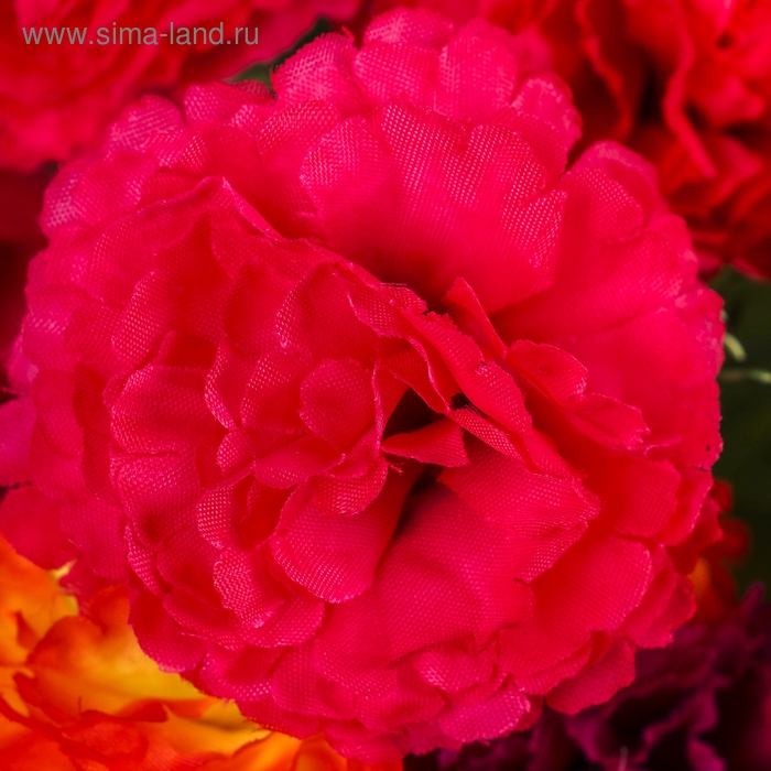 Букет Букет "Гвоздики" 5х25 см, микс