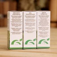 Эфирное масло "Пихта, Эвкалипт, Ель", набор 3 шт по 10 мл Oleos Эфирное масло "Пихта, Эвкалипт, Ель", набор 3 шт по 10 мл Oleos