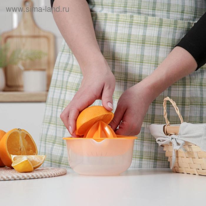 Соковыжималка для цитрусовых &laquo;Мадена&raquo;, 300 мл, цвет МИКС