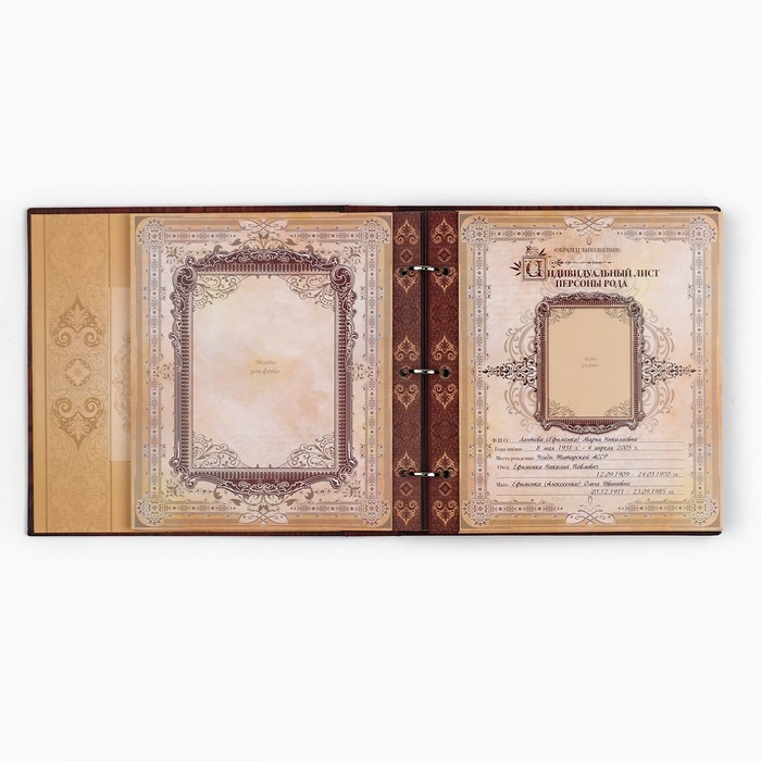 Родословная книга с рамкой под фото &laquo;Родословная книга&raquo;, под дерево, 50 листов, 21,5 х 23,7 см.