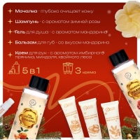 Новогодний подарочный набор косметики «Новый год зажигает огни» для душа и ванны, золотая серия Новогодний подарочный набор косметики «Новый год зажигает огни» для душа и ванны, золотая серия