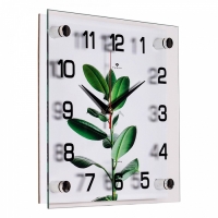 Часы настенные, интерьерные "Фикус Эластика", 25 х 25 см, бесшумные Часы настенные, интерьерные "Фикус Эластика", 25 х 25 см, бесшумные