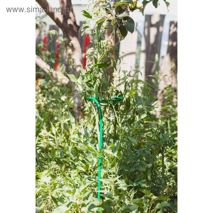 Кустодержатель для цветов, d = 20 см, h = 120 см, ножка d = 1 см, металл, зелёный Кустодержатель для цветов, d = 20 см, h = 120 см, ножка d = 1 см, металл, зелёный