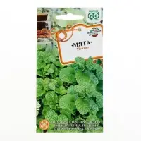 Семена Мята садовая "Ментол", ц/п,  0,05 г