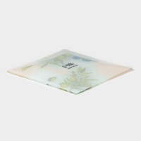 Блюдо сервировочное Доляна &laquo;Олива&raquo;, 16,5&times;16,5&times;1,7 см, стекло, рисунок