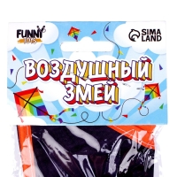 Воздушный змей &laquo;Птица&raquo;, цвета МИКС