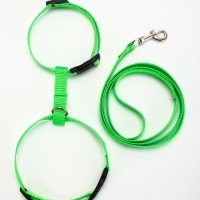 Комплект для кошек, ширина 1,5 см, ОШ 16,5-27 см, ОГ 21-35 см, поводок 120 см, зелёный