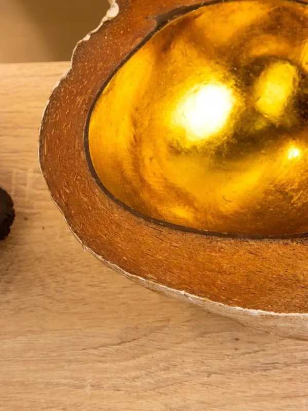 Чаша из кокоса, 18&times;18&times;10 см, бежево-золотая