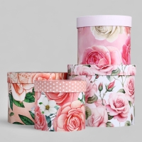 Набор шляпных коробок для цветов 4 в 1, упаковка подарочная, &laquo;Нежность&raquo;, 20 х 17,5 - 16 х 14 см