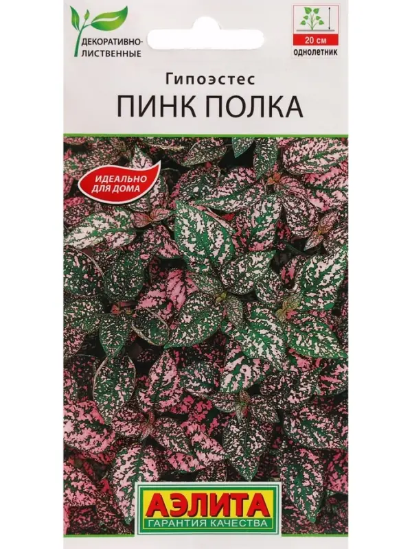 Набор семян Гипоэстес "Пинк Полка",  5 шт.