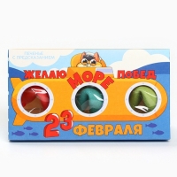 Печенье с предсказанием &laquo;23 февраля&raquo;, 3 шт