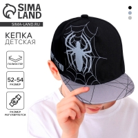 Кепка детская для мальчика &laquo;Паук&raquo;, рр 54см