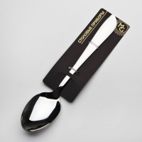 Ложка столовая из нержавеющей стали Magistro &laquo;Эми&raquo;, длина 20,5 см, цвет серебряный