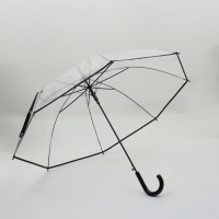 Зонт - трость полуавтоматический «Однотон», 8 спиц, R = 51/58 см, D = 116 см, цвет прозрачный Зонт - трость полуавтоматический «Однотон», 8 спиц, R = 51/58 см, D = 116 см, цвет прозрачный
