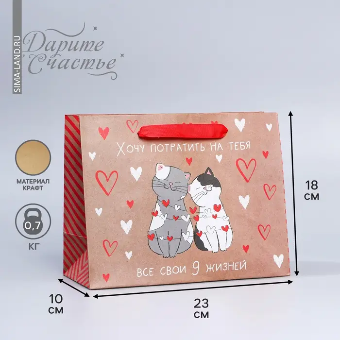 Пакет подарочный крафтовый, упаковка, &laquo;Потрачу девять жизней&raquo;, MS 18 х 23 х 8 см