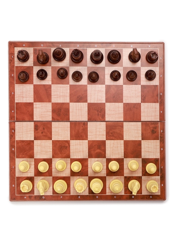 Шахматы магнитные 24 х 24 см, король h-4.9 см, пешка h-2.4 см