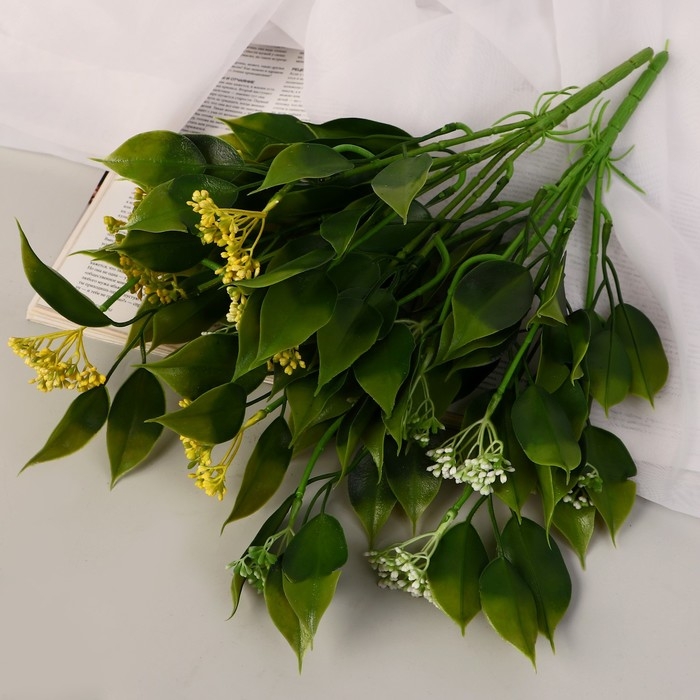 Букет Букет "Хойя публикалис" 32 см, микс