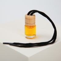 Ароматизатор в автомобиль на 23 Февраля &laquo;Настоящему защитнику&raquo;, аромат: цитрус