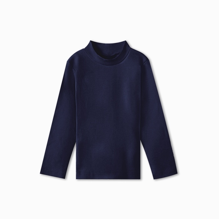 Водолазка для мальчика, цвет тёмно-синий, рост 116 см Водолазка для мальчика, цвет тёмно-синий, рост 116 см