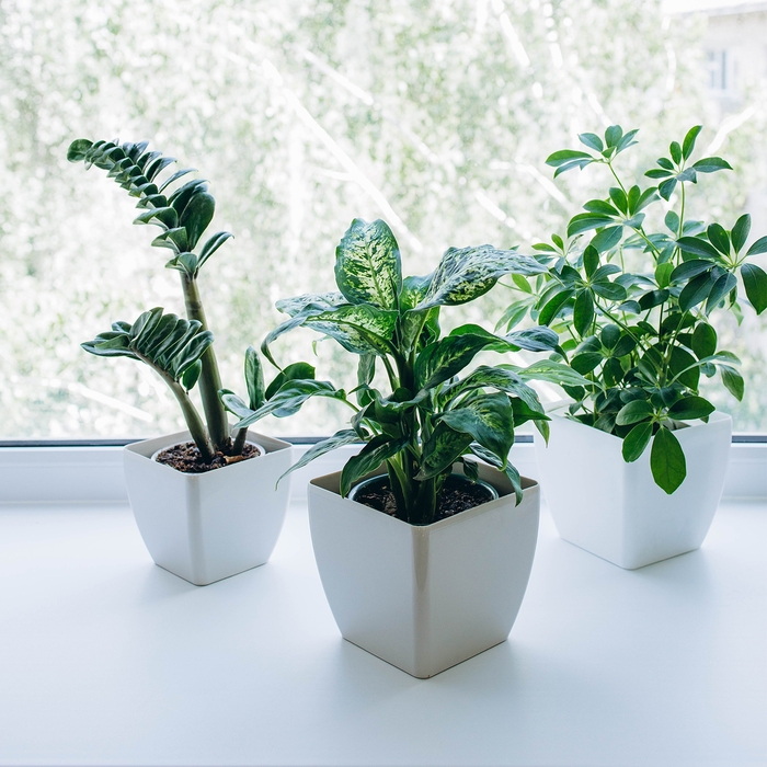 Кашпо для цветов, 13 &times; 13 см, 1,5 л, пластик, бежевое