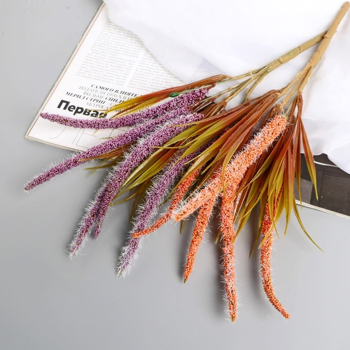 Букет Букет "Пушица лаванда" 26 см, микс