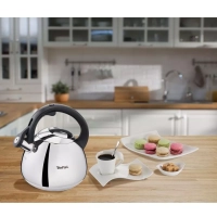 Чайник для плиты Duetto+ N4180110, 2.7 л, стальной