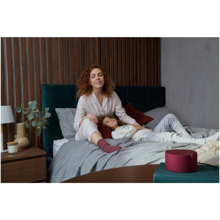 Умная колонка Умная колонка "Новая Яндекс Станция Мини"(YNDX-00021R), голосовой помощник Алиса,10Вт, без часов, красная