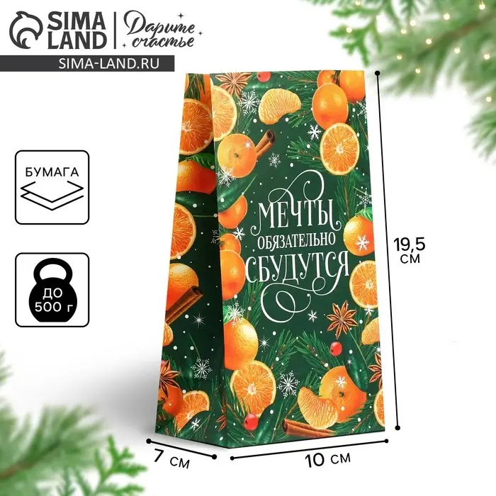 Пакет без ручек &laquo;Мечты обязательно сбудутся&raquo;, мандарины, 10 х 19.5 х 7 см, Новый год