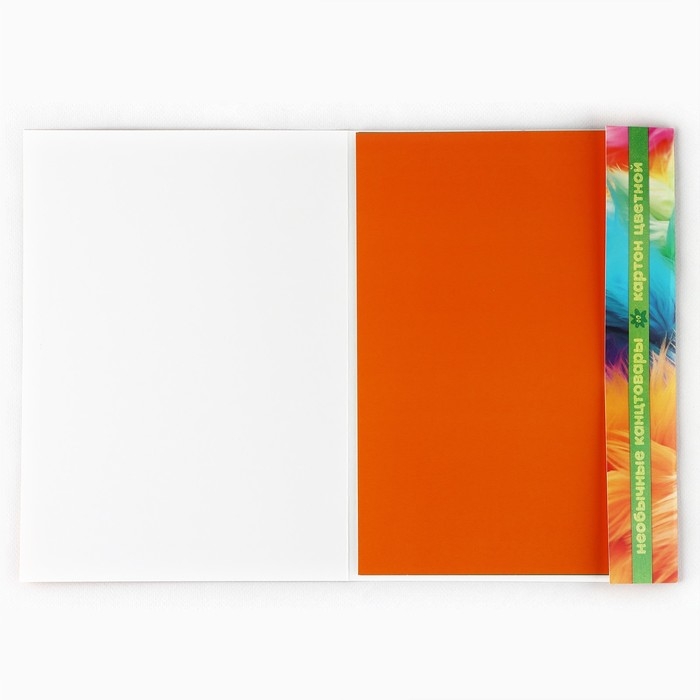 Картон цветной двусторонний А4 мелованный в папке 10 листов 20 цветов 230г &laquo;1 сентября: БукиБяки&raquo;