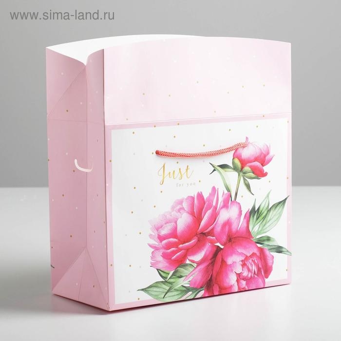 Пакет—коробка, подарочная упаковка, «Just for you», 23 х 18 х 11 см Пакет—коробка, подарочная упаковка, «Just for you», 23 х 18 х 11 см