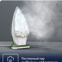 Паровой утюг Easygliss Eco FV5781E1, зеленый