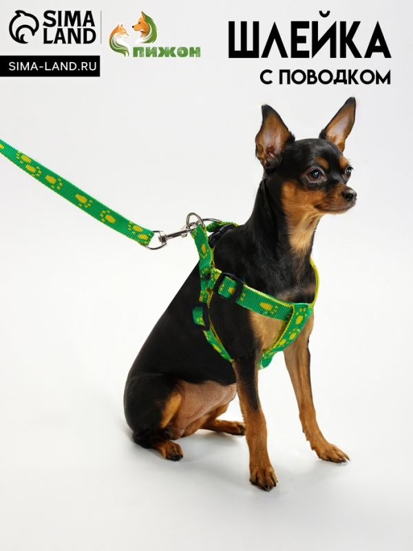 Комплект "Большая лапа", ширина 1,5 см, поводок 120 см, шлейка 28-42 см, жёлто-зелёный