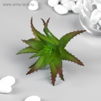 Искусственный суккулент для создания флорариума "Алоэ древовидное" 6,5х7х7 см