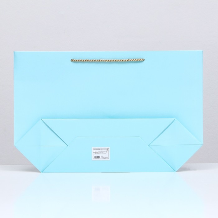 Пакет подарочный с лентой 30 х 27,5 х 12 см "Голубой"