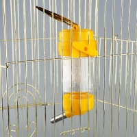 Поилка для грызунов 80 мл, 9 Х 4,5 см, микс цветов Поилка для грызунов 80 мл, 9 Х 4,5 см, микс цветов