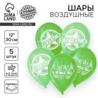 Воздушный шар латексный 12" &laquo;Дембель&raquo;, 5 шт.