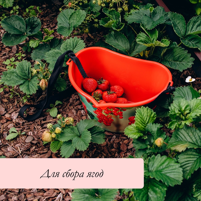 Ёмкость для сбора ягод, 3 л, &laquo;Красная смородина&raquo;, красная