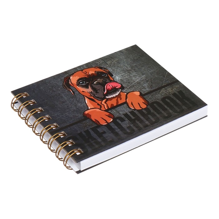 Скетчбук А6, 80 листов на гребне по короткой стороне "Дружок", твёрдая обложка, блок 100 г/м&sup2;