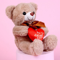 Мягкая игрушка «Ты лучше всех», медведь, цвета МИКС Мягкая игрушка «Ты лучше всех», медведь, цвета МИКС