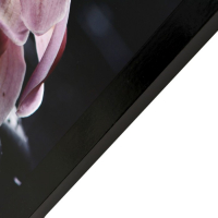 Картина "Цветы на камнях" 67х107 см рамка микс