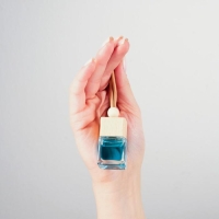 Ароматизатор подвесной в бутылочке размер XXL &laquo;Свежесть&raquo;