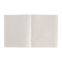 Комплект тетрадей из 10 штук, 18 листов в линию КПК "Зелёная обложка", блок №2, белизна 75% (серые листы)