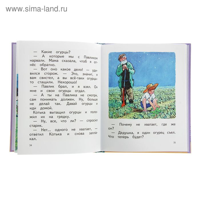 &laquo;Живая шляпа&raquo;, Носов Н. Н.