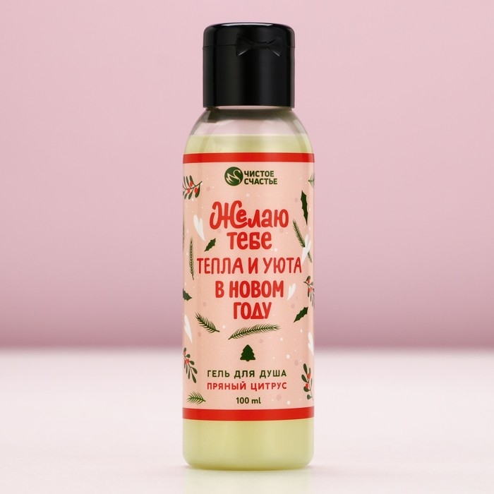 Подарочный набор косметики &laquo;С Новым Годом&raquo;, гель для душа 100 мл и соль для ванны 100 г, аромат пряного цитруса, ЧИСТОЕ СЧАСТЬЕ