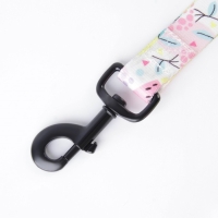 Поводок &laquo;Сочное настроение&raquo;, 2.5 см, 2 м