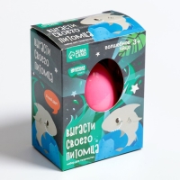 Растущие животные в яйце &laquo;Акула&raquo; МИКС