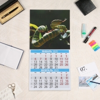 Календарь перекидной на скрепке "Символ года - 1" 2025 год, 6 листов, 29х29 см Календарь перекидной на скрепке "Символ года - 1" 2025 год, 6 листов, 29х29 см