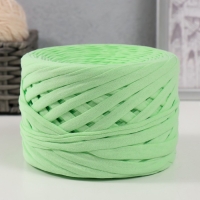 Трикотажная пряжа, ширина 7-9 мм, 100м/295 гр&plusmn;10% (21 - фисташка)